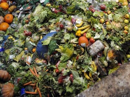 ঘরে বসেই সবচেয়ে কম খরচে গাছের খাবার তৈরি (কিচেন কম্পোস্ট তৈরি)